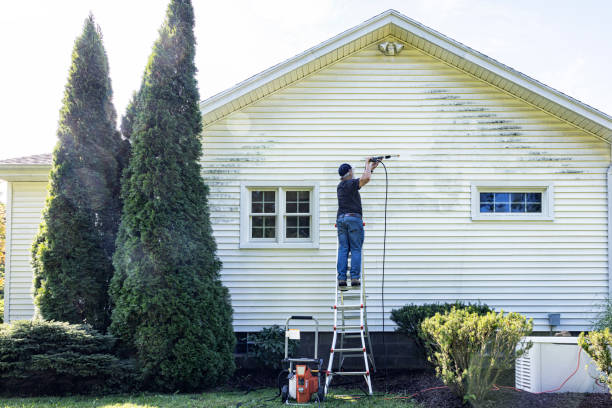Local Pressure Washing Services in Laguna Woods, CA
